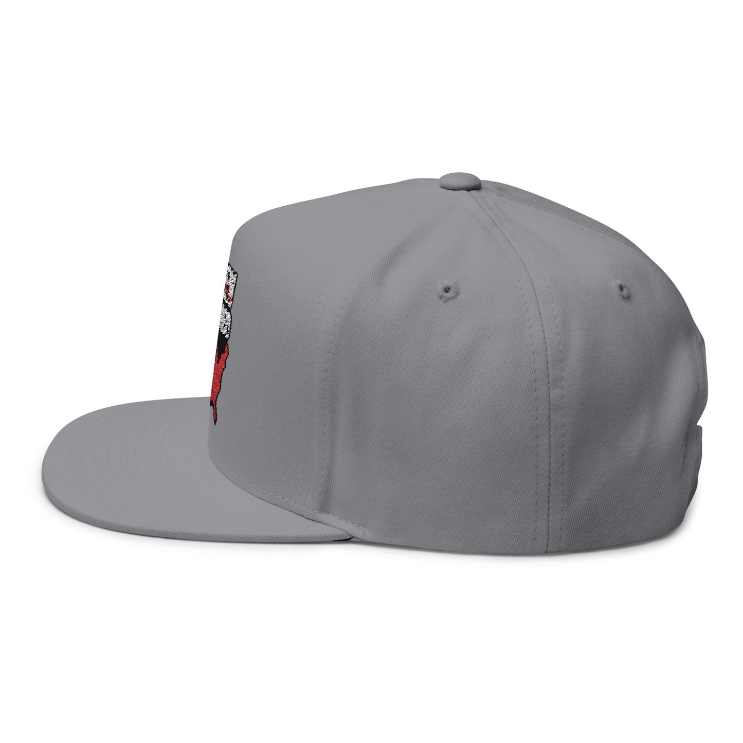 Stolen Conquered USA Embroidered Flat Bill Cap