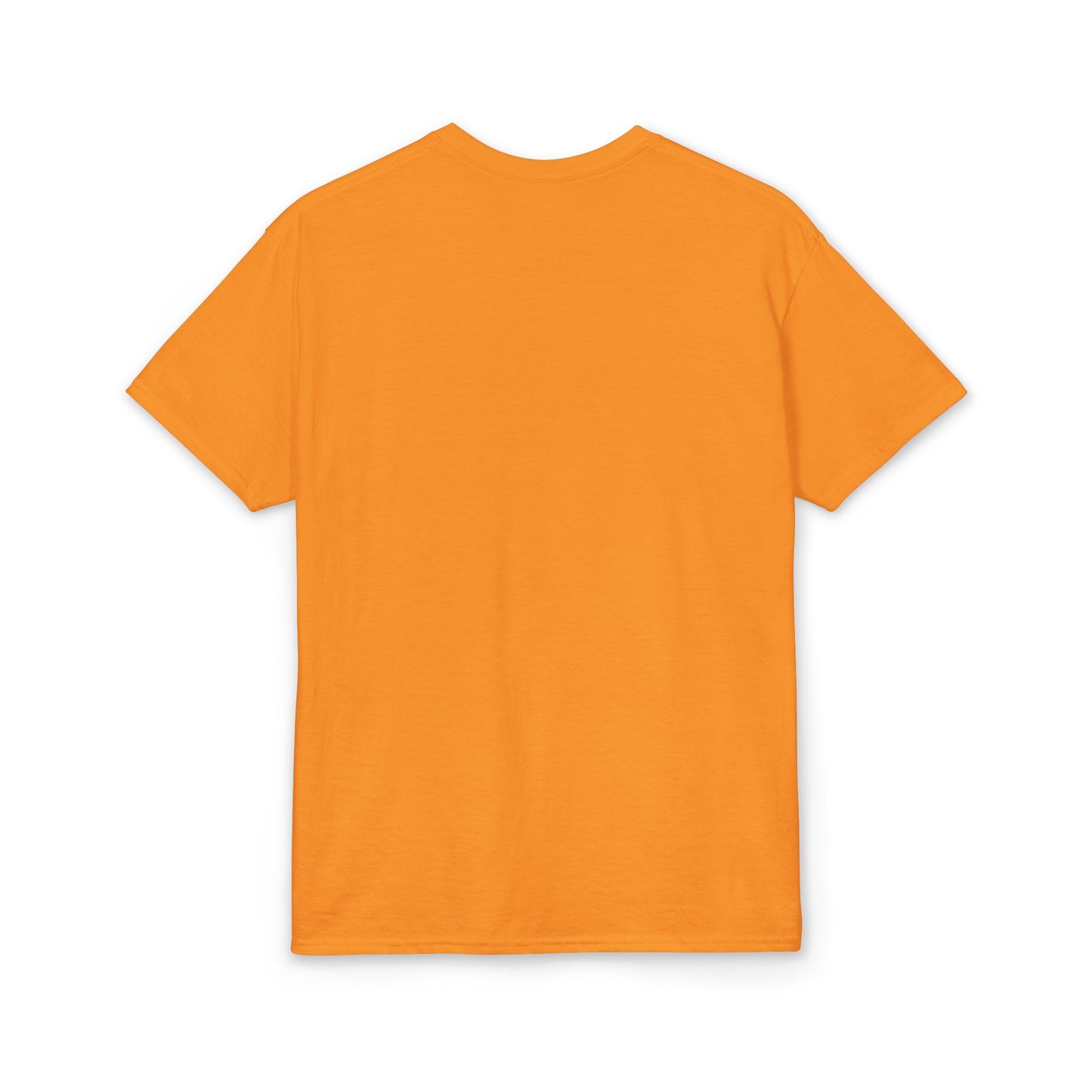 Gulf of America Est. 2025 Waves Gildan Brand T‑Shirt