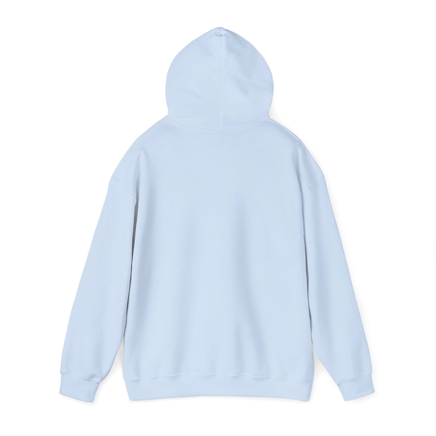 Gulf of America Est. 2025 Waves Gildan Brand Hoodie