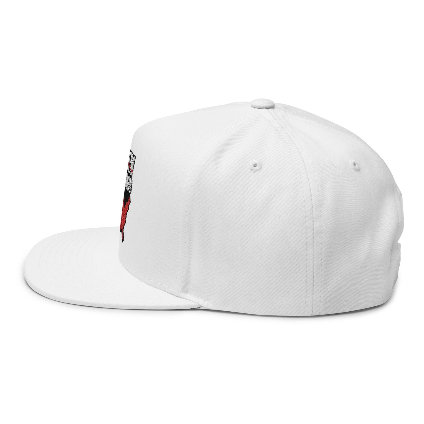 Stolen Conquered USA Embroidered Flat Bill Cap